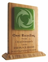 Bamboo & Recycled Glass Eco Awards- Medium