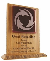 Bamboo & Recycled Glass Eco Awards- Large