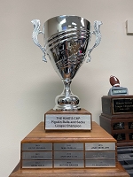 Engraved Plates for YOUR Perpetual or Fantasy Football Trophy
