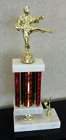 Karate Trophy 