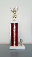 Volleyball Trophy 