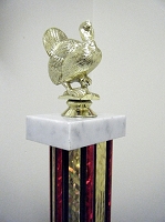 The Turkey Award- Joke Trophy 